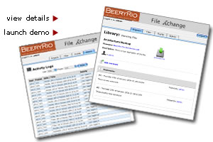 BeeryRio File Xchange